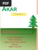 Download  Morfologi akar tumbuhan by Indri Rahmawati SN175741726 doc pdf