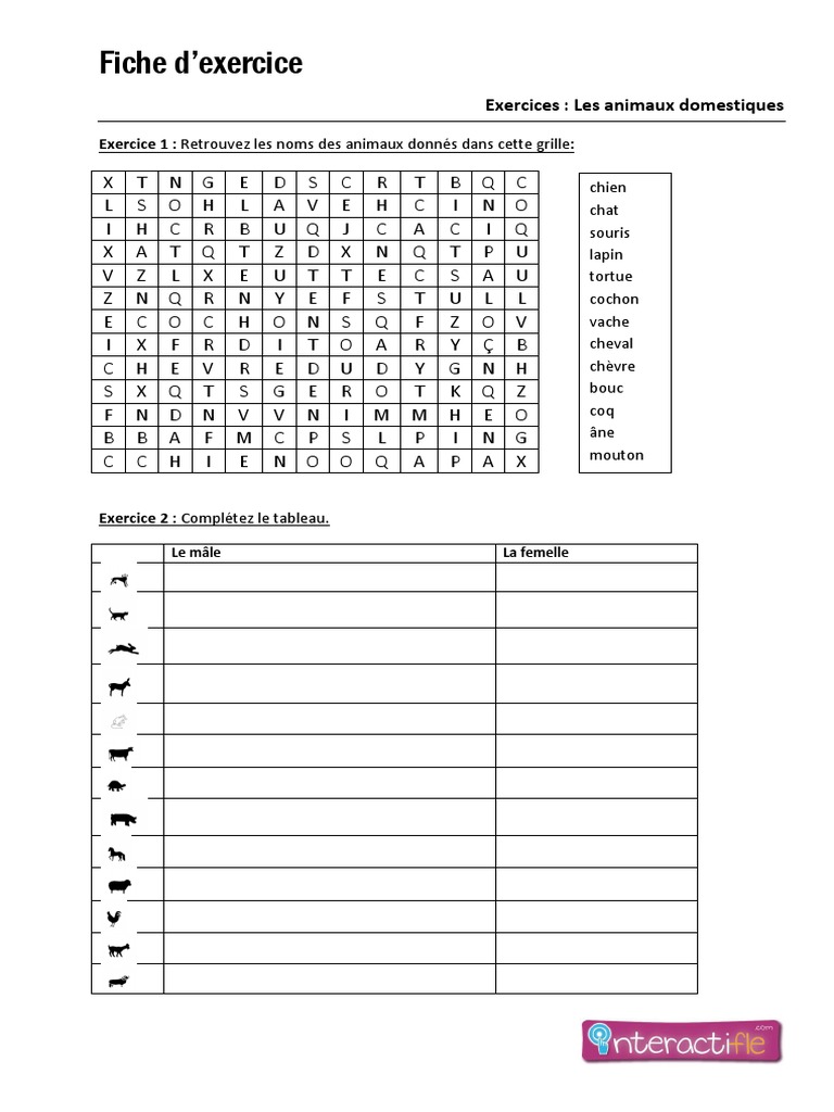 Fiche D Exercice Animaux Domestiques