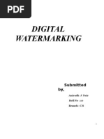 Download Abstract Digital Watermarking by anirudhjnair SN17574728 doc pdf