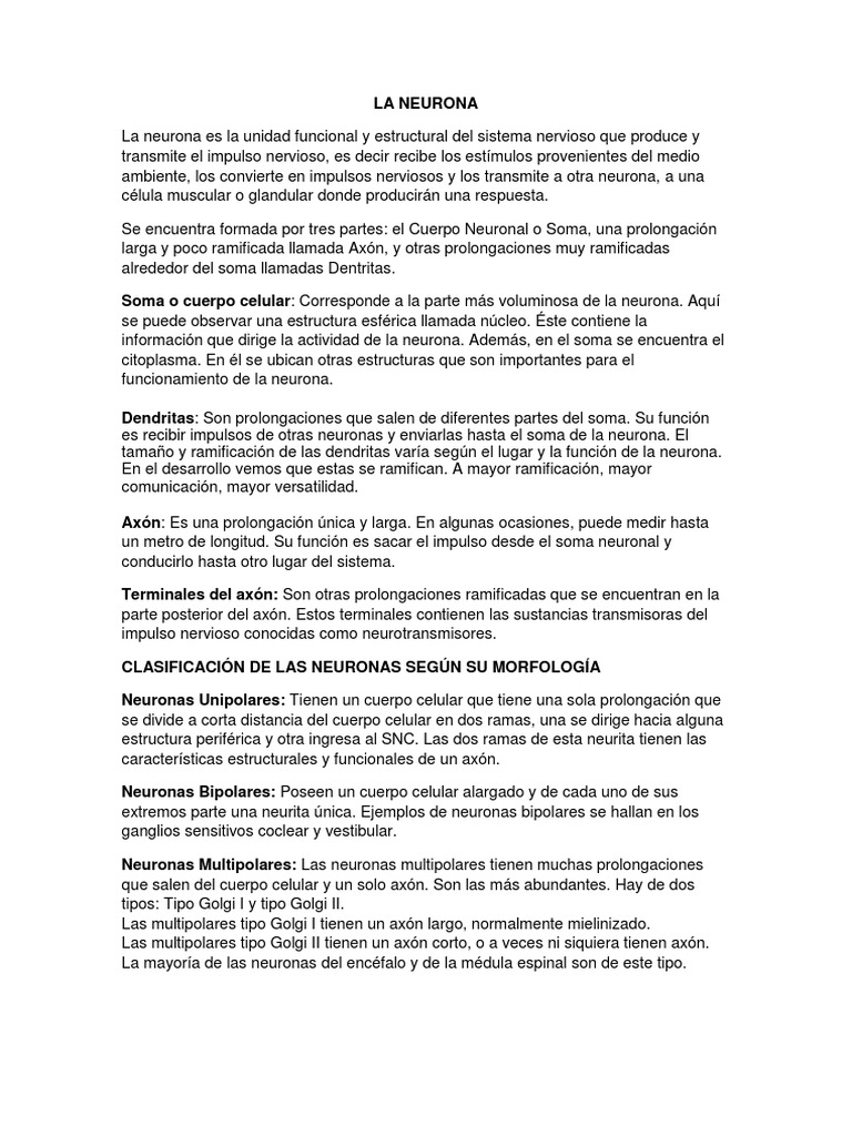 Clasificación de Neuronas por Morfología | PDF | Neurona | Sinapsis