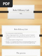 Role Efficacy Lab