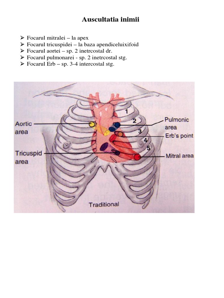 Auscultatia Inimii | PDF
