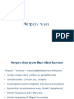 Herpes Virus