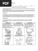 Organismos Productores y Descomponedores
