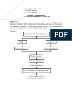 Gua Laboratorio de Anlisis Elemental Cualitativo