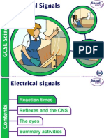 5.ElectricalSignals