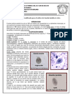 Medio de Keister Modificado para El Cultivo de Giardia Lamblia in Vitro ULTIMO