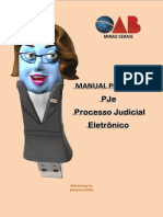 Manual Pje (1)