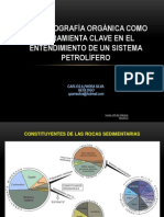 PETROGRAFÍA ORGÁNICA - CARLOS PARRA - UIS-petromod PDF