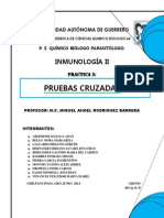 Pruebas Cruzadaz