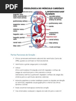 ANATOMIA FISIOLÓGICA DO MÚSCULO CARDÍACO