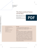 The Endocannabinoid System and the Brain