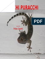 Racchi Puracchi