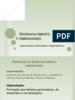 Desenvolvimento Embrionã¡rio