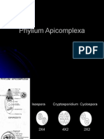 4 Aphycomplexas