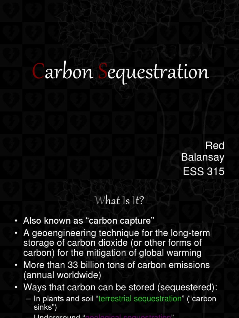 Carbon Sequestration Pdf Carbon Sequestration Carbon Capture And