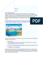 Carbon Cycle