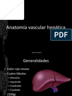 Anatomía Vascular Hepática