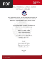 Cayhualla Rosmery Mendoza Vanessa Adaptacion Proesc