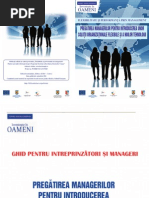 Ghid Pentru Intreprinzatori Si Manageri