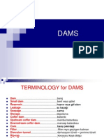 DAMS1(1)