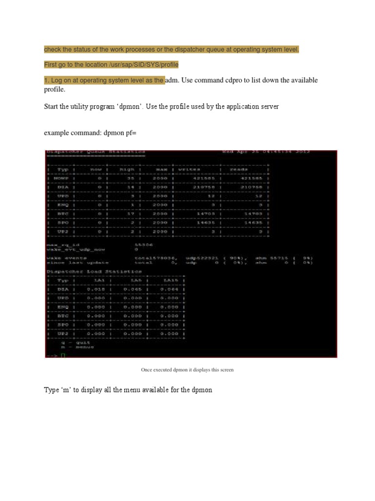 Dpmon | PDF | System Software | Computing