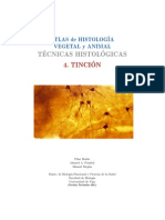 Tecnicas Tincion PDF