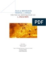 Tecnicas Fijacion PDF