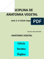 Aula 3 - CÉLULA VEGETAL