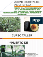 Curso Taller Paltos - Injertos