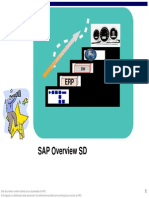 SAP Overview SD