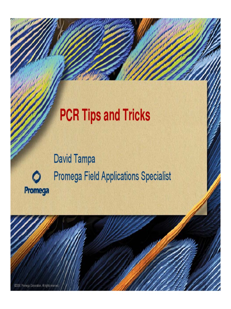 PCR Tips and Tricks PDF Taq Polymerase Polymerase Chain Reaction