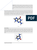 Apakah Fungsi Purin Dan Pirimidin