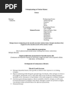 Download Pa Tho Physiology of Uterine Myoma by ghettodawg187 SN17600979 doc pdf