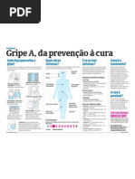 Gripe A - da prevenção à cura