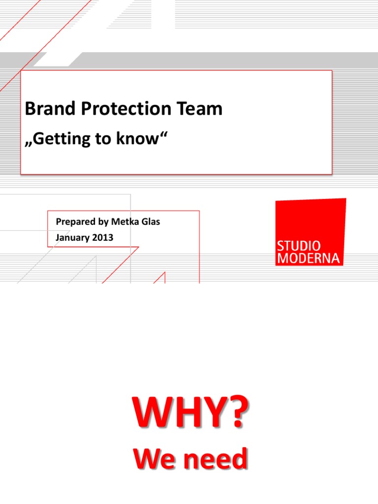 01 Brand Protection Team inar 2013 Handouts PDF Counterfeit Brand