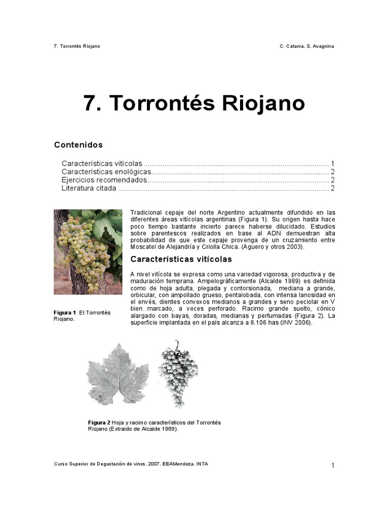 Características del Torrontés Riojano | PDF | Vino | Bebidas Fermentadas