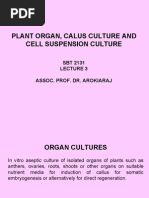 Download Dr Raj Lecture 3 Plant Organ Callus Culture by Biotechnology IIUM Kuantan SN17608242 doc pdf