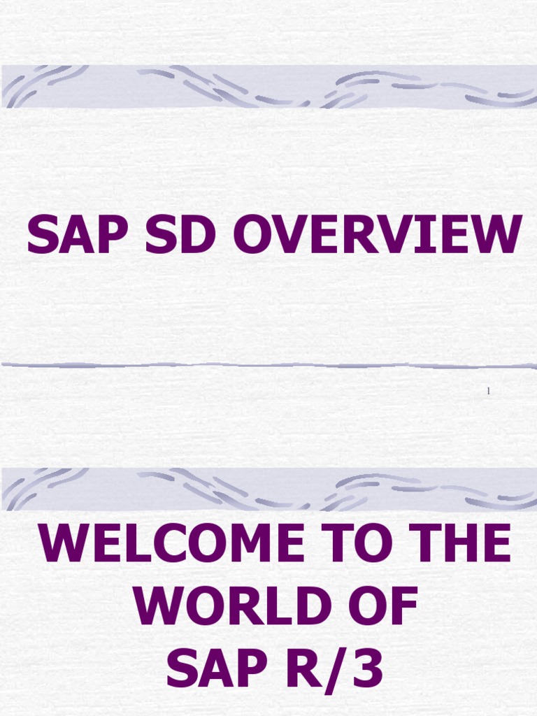 Sap Sd Pdf Sap Se Enterprise Resource Planning