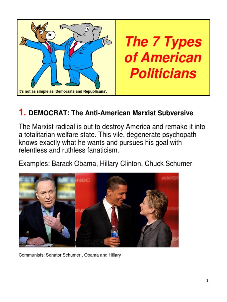 7 Types of American Politicians PDF Democratic Party (United States