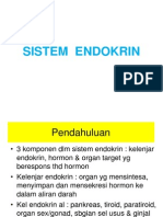 Sistem Endokrin