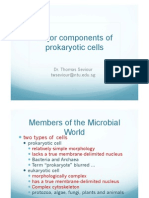 Members of The Microbial World