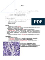 1.timus Consp + Diagnostic Diferential