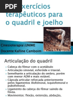 Exercicios Terapeuticos Para Quadril e Joelho