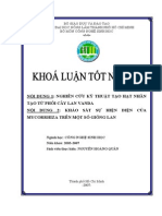 Nội Dung 1: Nghiên Cứu Kỹ Thuật Tạo Hạt Nhân Tạo Từ Phôi Cây Lan Vanda Nội Dung 2: Khảo Sát Sự Hiện Diện Của Mycorrhiza Trên Một Số Giống Lan