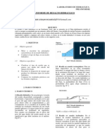 PRE-Informe. Resalto Hidraulico PDF