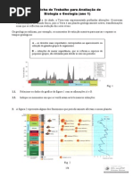 15-fichageo1-avaliacao