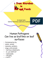 Risks from Microbes in,Foods and Feeds