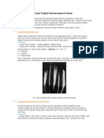 Download Berbagai Tingkat Keanekaragaman Hayati BAB I Biologi Kelas 7 by Teguh SN17629557 doc pdf