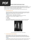 Download Berbagai Tingkat Keanekaragaman Hayati BAB I Biologi Kelas 7 by Teguh SN17629557 doc pdf